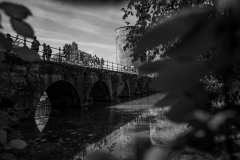 DP2_0614